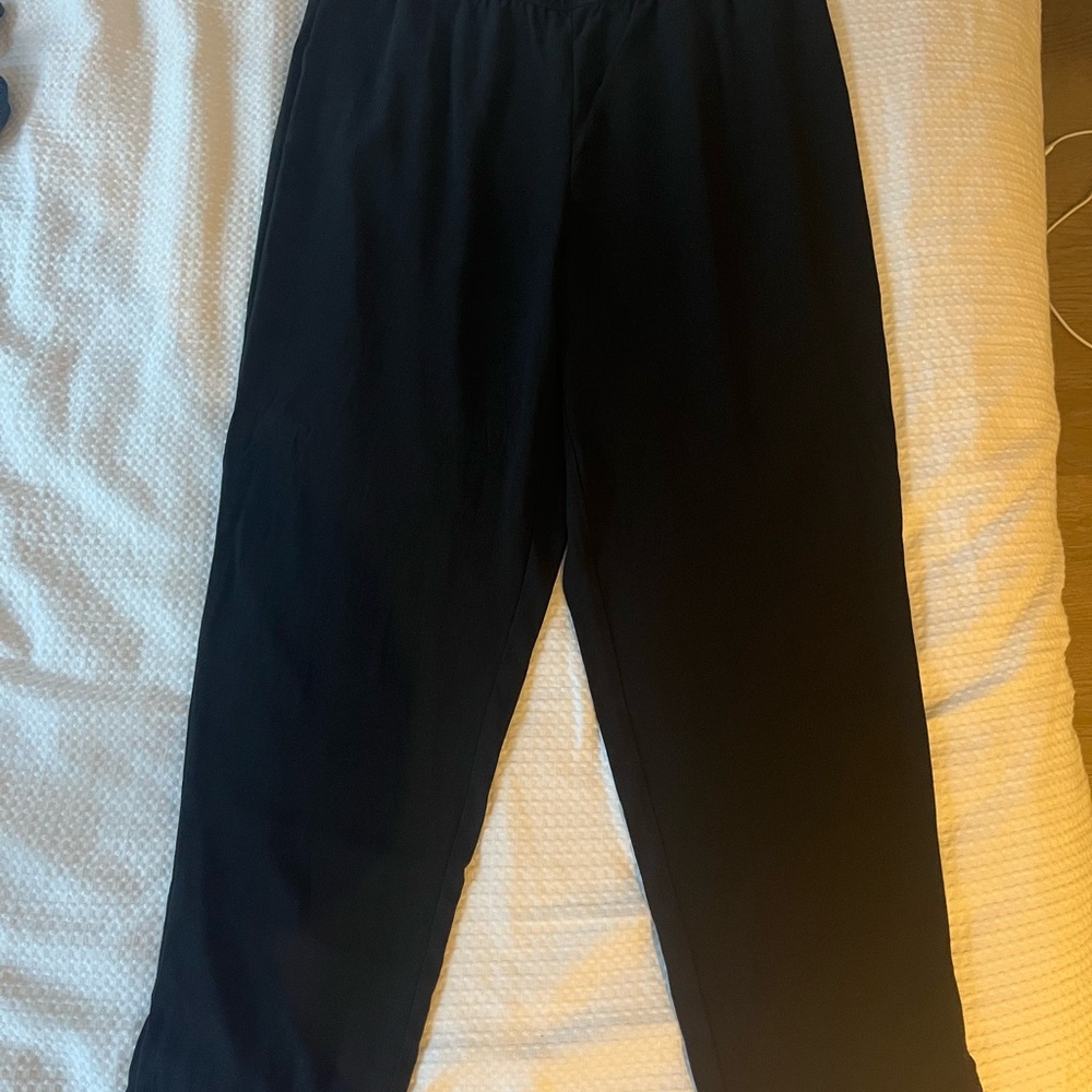 Eileen Fisher 100% silk georgette pants